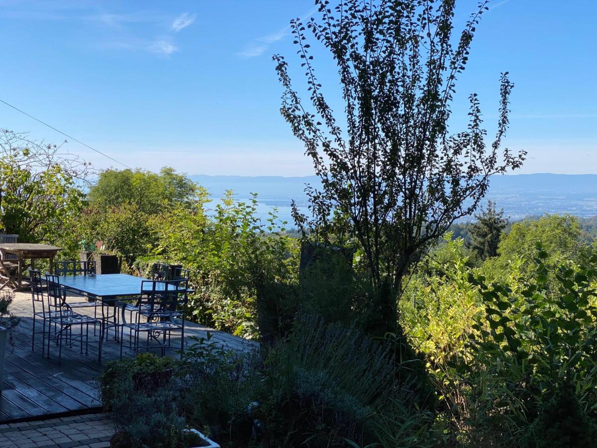 Petite Maison A L'Oree Des Bois Vue Magnifique Sur Le Lac Zenitude Et Plenitude Belmont-sur-Lausanne Екстериор снимка